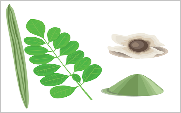 Moringa